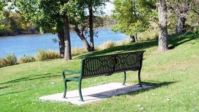 Зелёная парковая скамейка на лужайке у реки