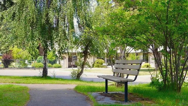 Стандартная скамейка в тени летнего парка