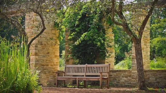 Деревянная скамейка в старом уголке парка