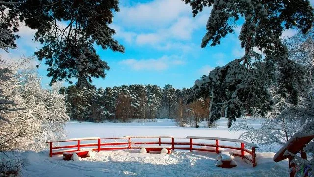 Красная скамейка в заснеженном парке Красная скамейка в заснеженном парке