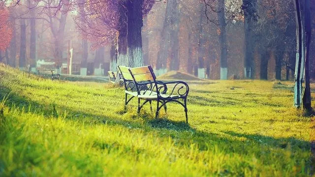 Романтичный уголок парка со скамейкой