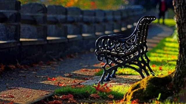Живописная чугунная скамейка в осеннем парке