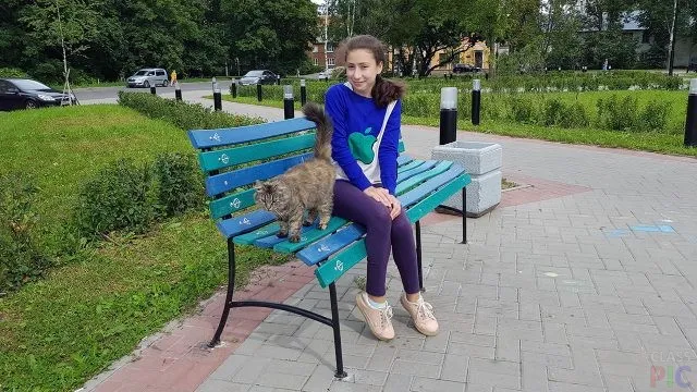 Девушка и кот на скамейке в сквере