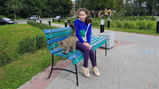 Девушка и кот на скамейке в сквере Девушка и кот на скамейке в сквере