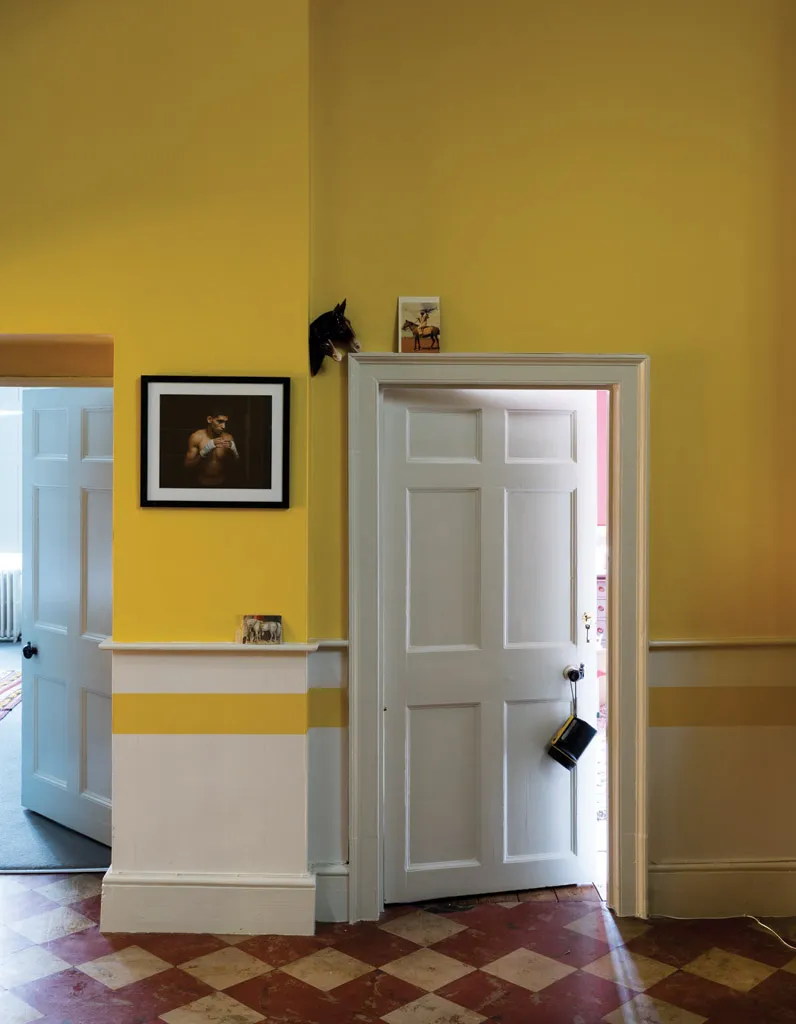 Стеновые панели для коридора желтые