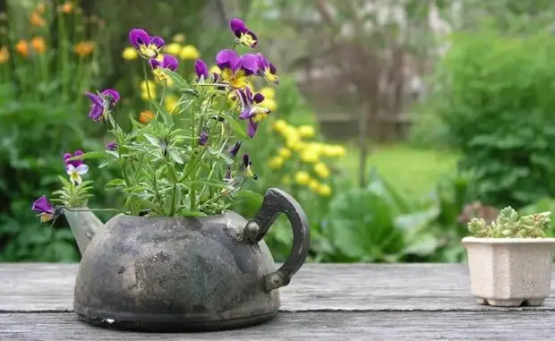 Использовать старый чайник в качестве вазона для цветов - довольно смелое и креативное решение