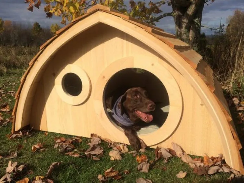 Дом для лучшего друга: как сделать будку для собаки своими руками
