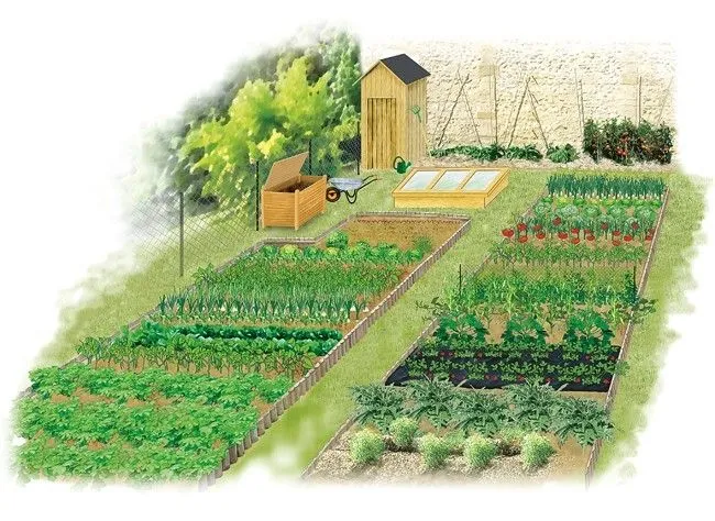 Как правильно сделать планировку сада и огорода на участке