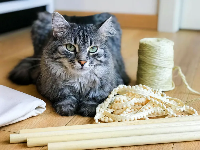 Для изготовления и украшения кошачьего дома могут использоваться самые разные вещи и материалы