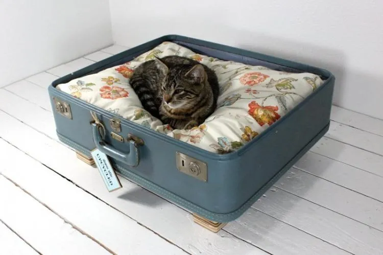 Живем «на чемоданах» - Домик для кошки своими руками