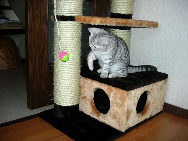 Домик для кошки из дерева