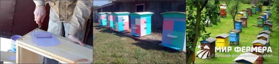 Лучшие цвета для ульев В какой цвет покрасить улей