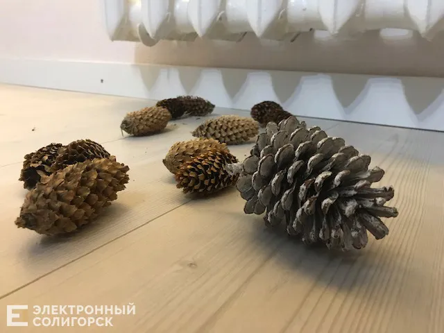 vlagnost 2