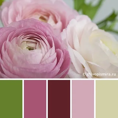 Цветовая палитра №4463