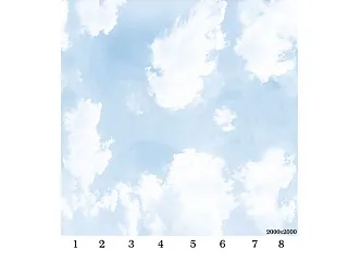 Потолочная панель ПВХ Панда Небо (рисунок)