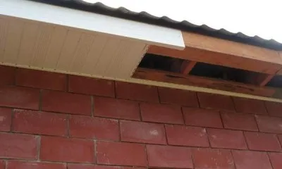 foto33898 2