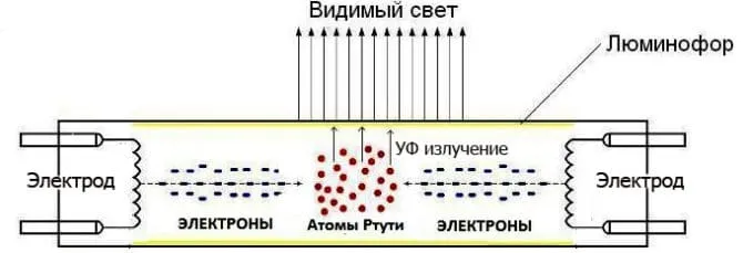 Устройство и принцип работы балласта для люминесцентных ламп