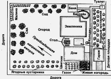 насаждения на участке