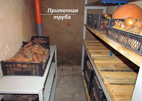Проветривание подвального хранилища овощей