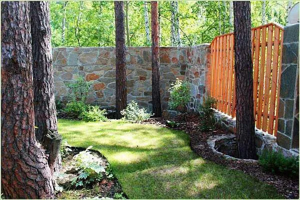 Границы посадки деревьев на участке согласно нормам снип — расстояние ...