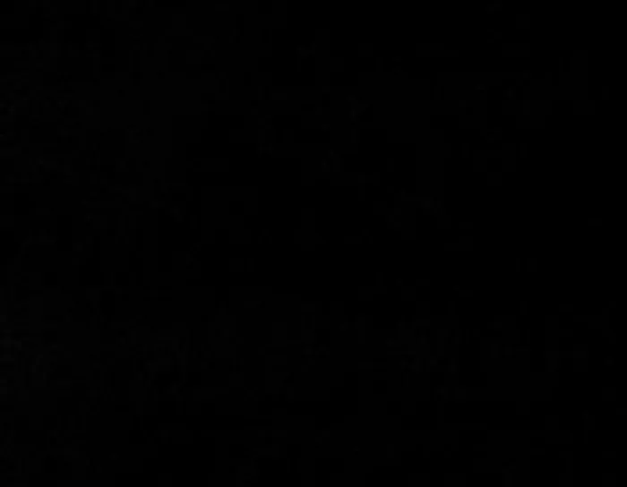 RAL 9017.jpg