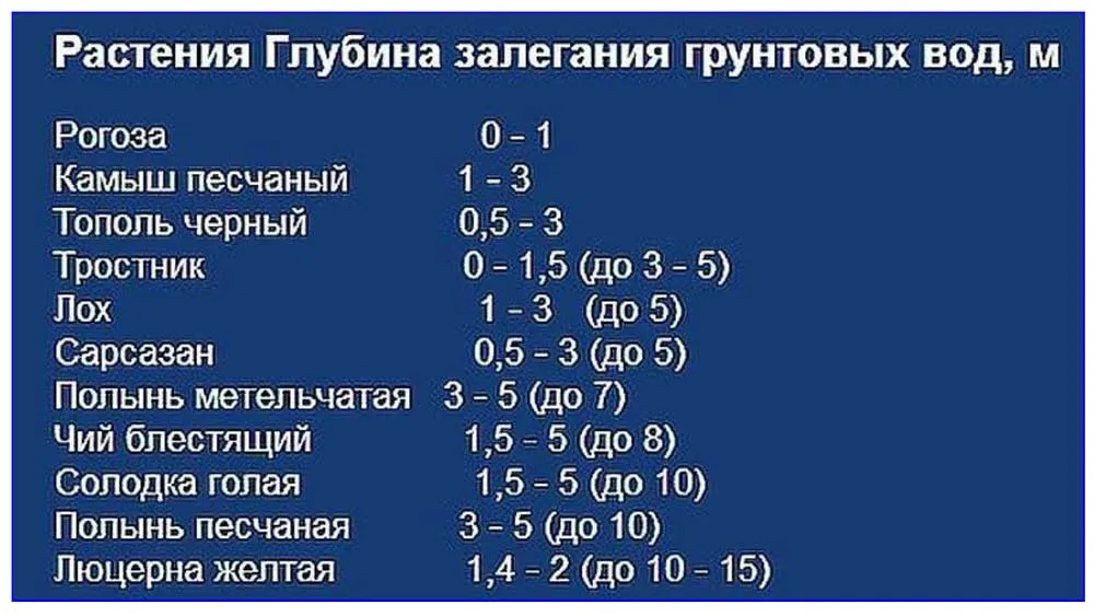Таблица взаимосвязи вида растений с глубиной расположения водных бассейнов.