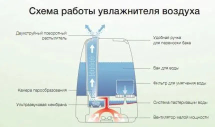 Принцип работы УЗ увлажнителя воздуха Принцип работы УЗ увлажнителя воздуха
