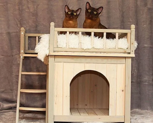 Уличные зимние домики для кошек
