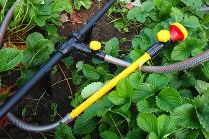 Разборная система в устройстве летнего водопровода для полива Пластиковый водопровод