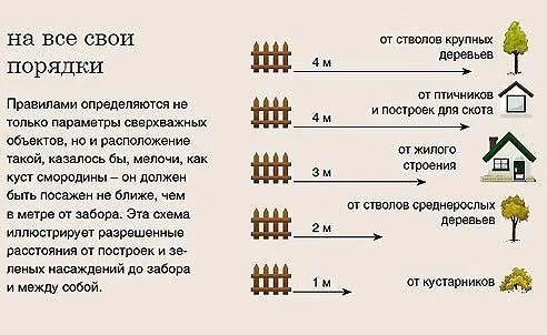 На участке