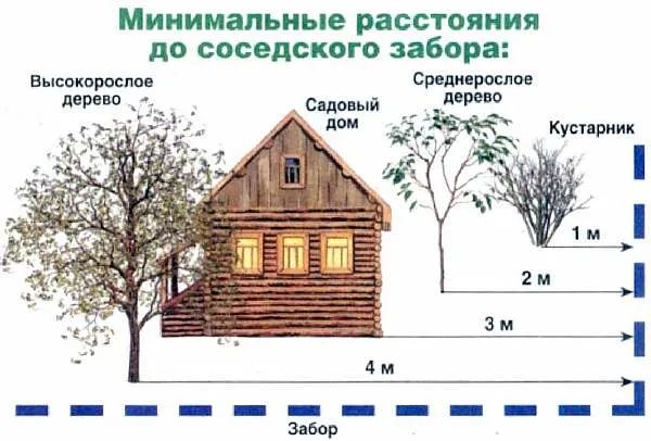 На дачном участке