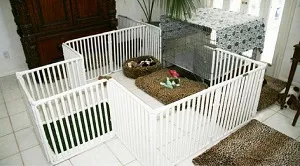 Untitled-design-89.jpg