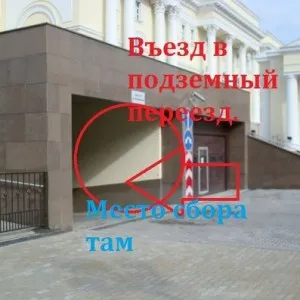 Выездная дорога и въезд в подземный гараж