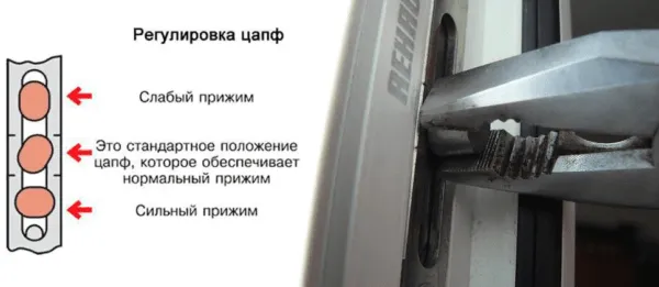 Расположение овальных цапф