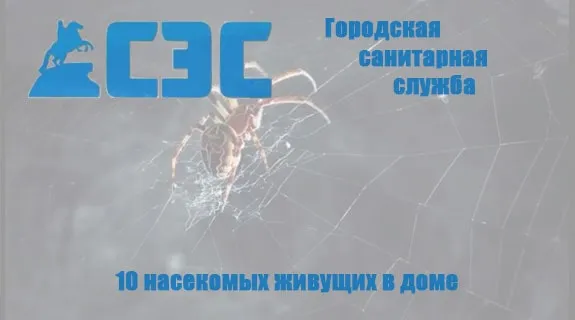 Видео уничтожения насекомых №1