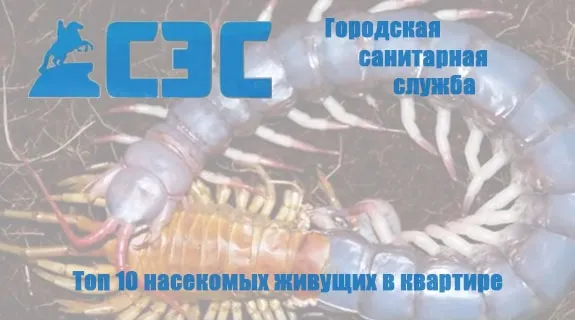 Видео уничтожения насекомых №2