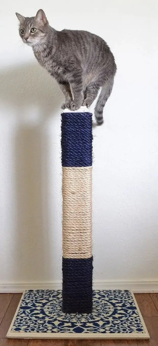 Сделать когтеточку для кошки в домашних условиях. Cat Scratcher когтеточки. Pom Pon когтеточка. Когтеточка для кошек своими руками. Когтеточки напольные для кошек.