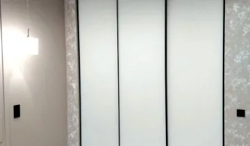 Двери-купе со вставками стекла сатинат в чёрном профиле Slim
