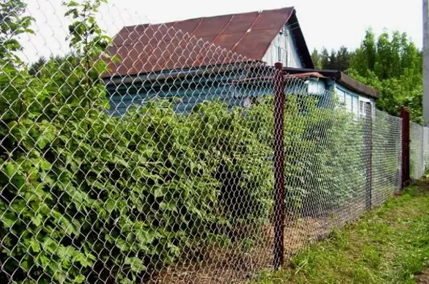 Из чего сделать недорогой забор для дачи