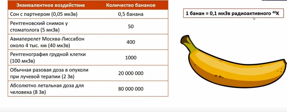 Радиация и человек. Мифы и реальность Радиация и человек. Мифы и реальность