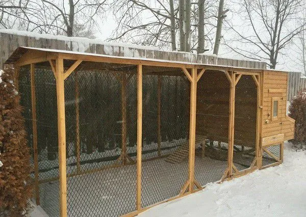 Вольер для кур используется также и в зимнее время, только теперь куры просто там гуляют, а не добывают пищу самостоятельно
