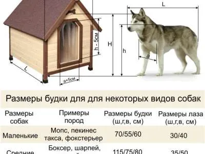Определение размера будки для двух собак - фото