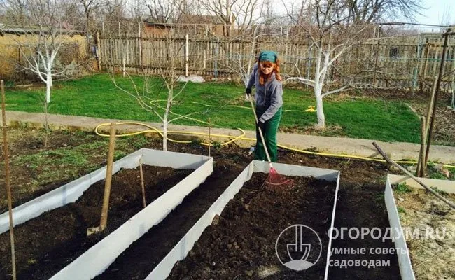 Просчитывая размеры будущих посадочных площадей, нужно учитывать потребности растений и удобство ухода за ними