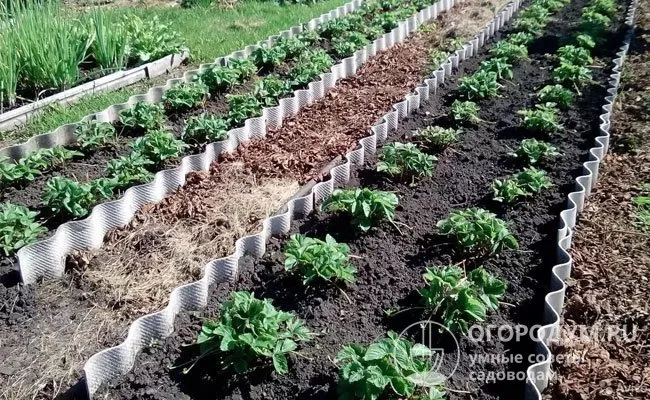 Для обустройства участка огородники используют плиты с ровным или волнообразным профилем, вкапывая их вертикально