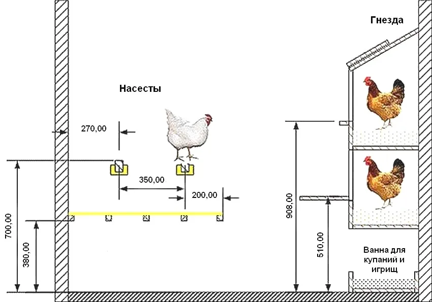 Схема обустройства курятника с оптимальными размерами для расположения насестов и гнезд