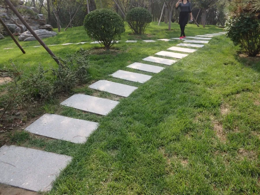 садовые дорожки. ландшафт дорожки. садовые дорожки. плитняк степ дорожки. дублированной дорожки.