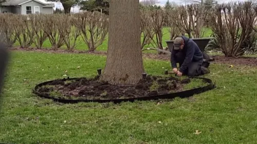 Установка тротуарного бордюра: виды дорожных и тротуарных бордюров ...
